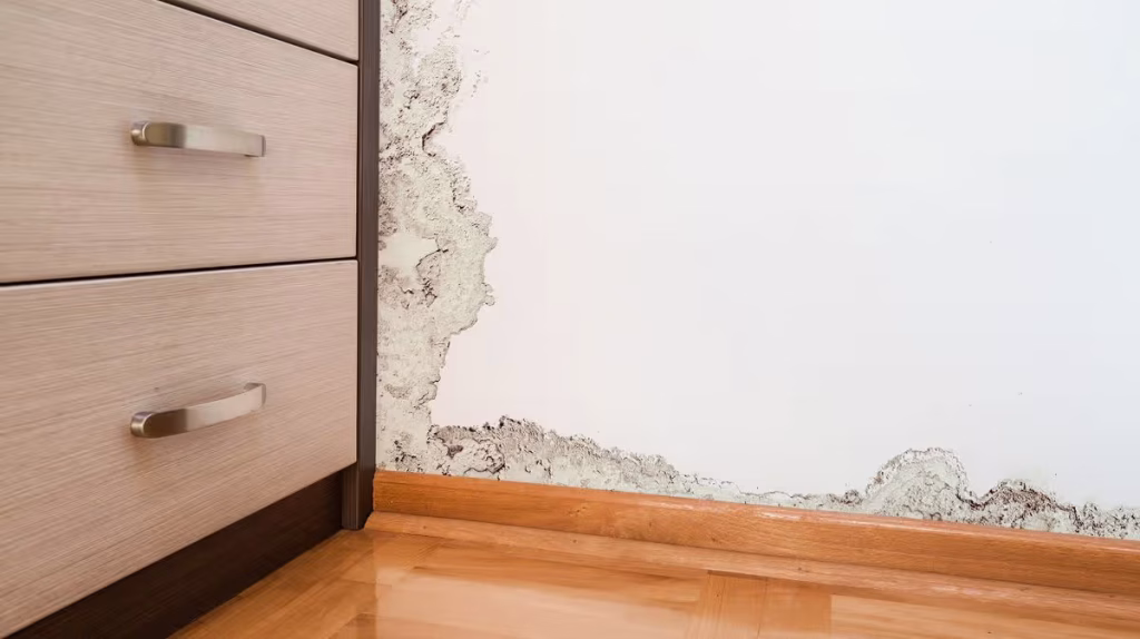 Sell a Water-Damaged House in Enfield CT