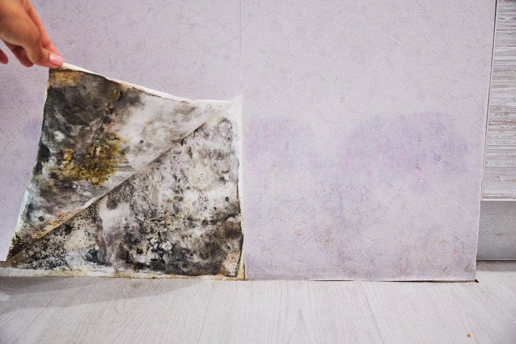 Sell a House with Mold in Connecticut